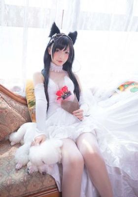 娃娃脸经典版8